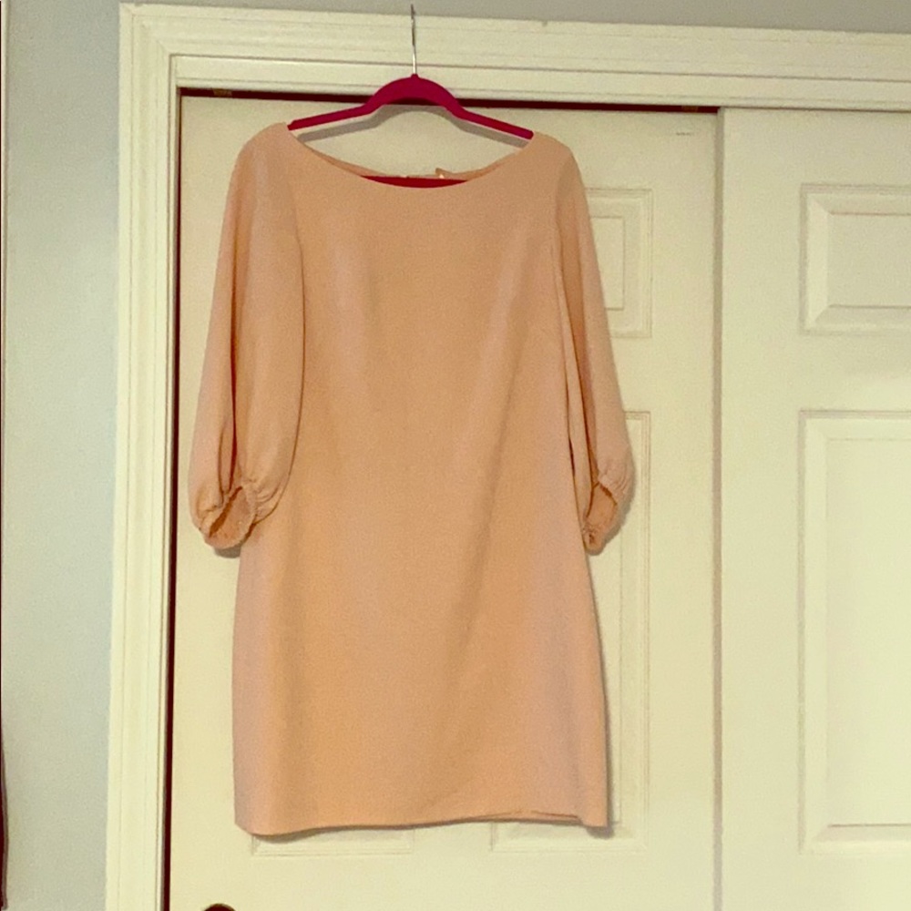 Blush colored dress with blouse sleeves.